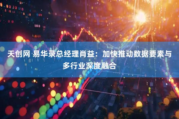 天创网 易华录总经理肖益：加快推动数据要素与多行业深度融合