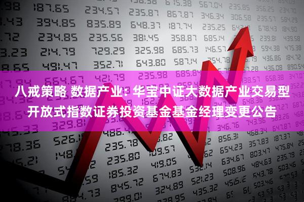 八戒策略 数据产业: 华宝中证大数据产业交易型开放式指数证券投资基金基金经理变更公告
