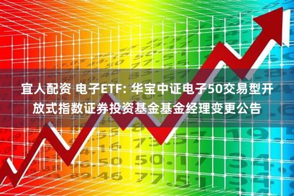 宜人配资 电子ETF: 华宝中证电子50交易型开放式指数证券投资基金基金经理变更公告