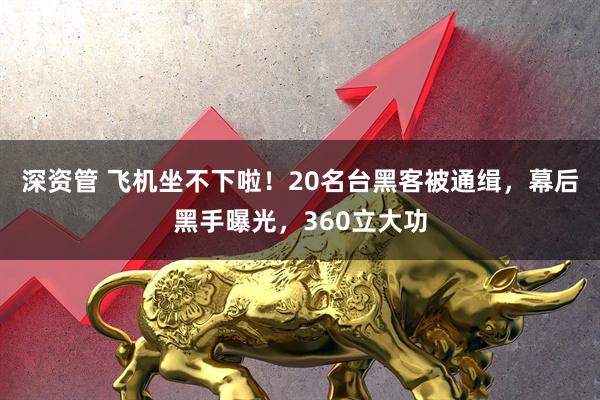 深资管 飞机坐不下啦！20名台黑客被通缉，幕后黑手曝光，360立大功