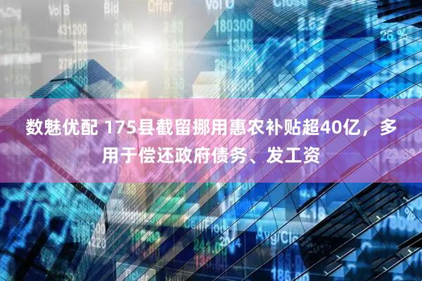 数魅优配 175县截留挪用惠农补贴超40亿，多用于偿还政府债务、发工资