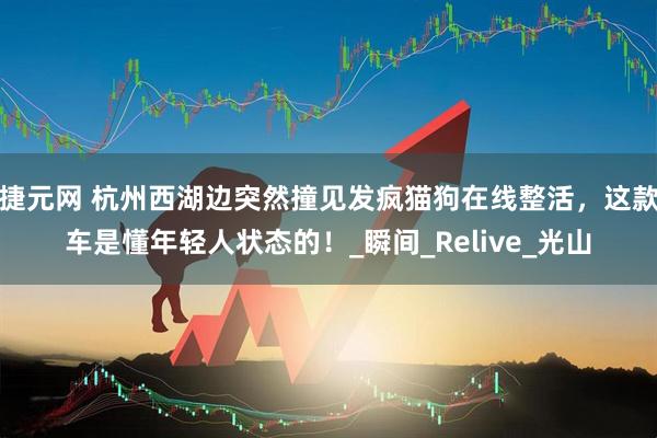 捷元网 杭州西湖边突然撞见发疯猫狗在线整活，这款车是懂年轻人状态的！_瞬间_Relive_光山