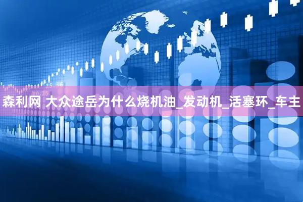 森利网 大众途岳为什么烧机油_发动机_活塞环_车主