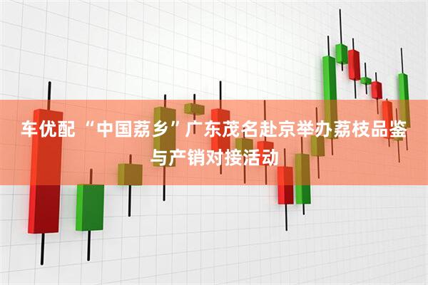 车优配 “中国荔乡”广东茂名赴京举办荔枝品鉴与产销对接活动