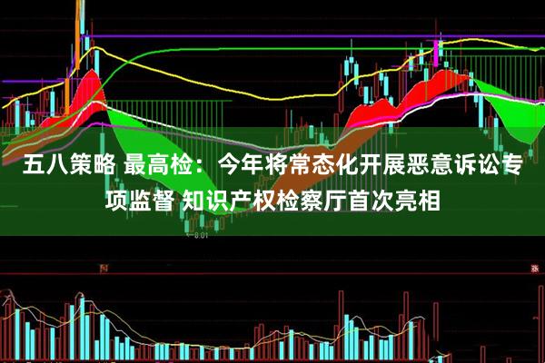 五八策略 最高检：今年将常态化开展恶意诉讼专项监督 知识产权检察厅首次亮相