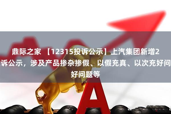 鼎际之家 【12315投诉公示】上汽集团新增2件投诉公示，涉及产品掺杂掺假、以假充真、以次充好问题等