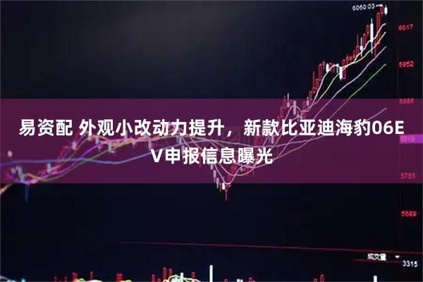 易资配 外观小改动力提升,新款比亚迪海豹06EV申报信息曝光