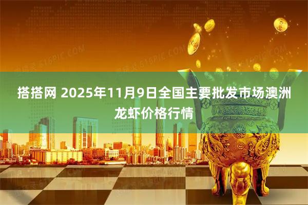 搭搭网 2025年11月9日全国主要批发市场澳洲龙虾价格行情