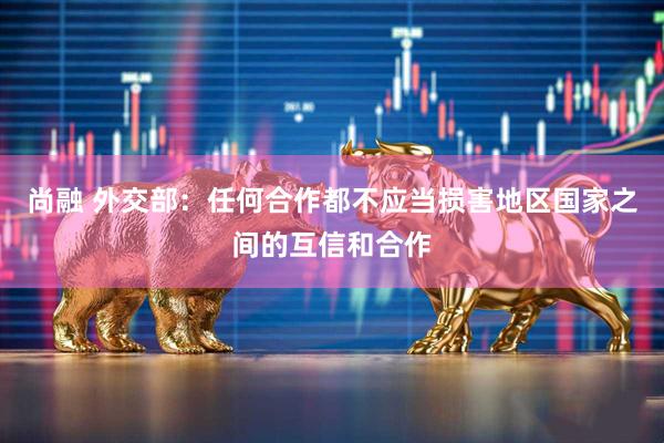 尚融 外交部:任何合作都不应当损害地区国家之间的互信和合作